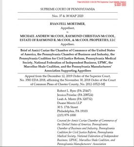 Screenshot of Mortimer v. McCool Amicus brief cover